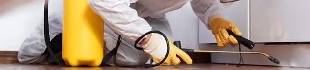 Roach exterminator treating cracks and crevices along kitchen baseboards in Tulsa, OK