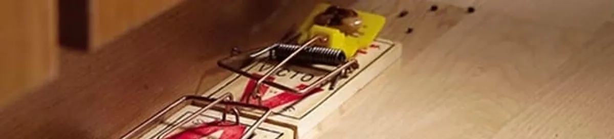 Rodent trap set indoors for rodent control and prevention in Tulsa, OK