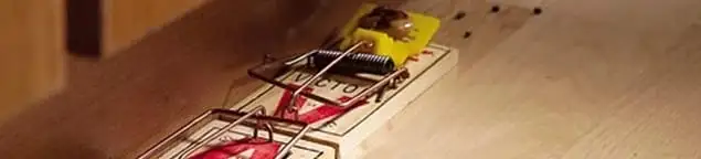 Rodent trap set indoors for rodent control and prevention in Tulsa, OK